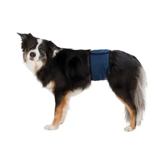 Trixie Rüdenbinde - S / M