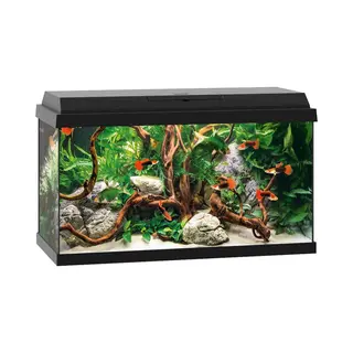 Juwel Primo Aquarium 60 Led, Zwart, 37 X 61 X 31 Cm
