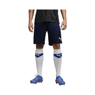 Puma TeamLIGA Shorts Herren - Navy - L