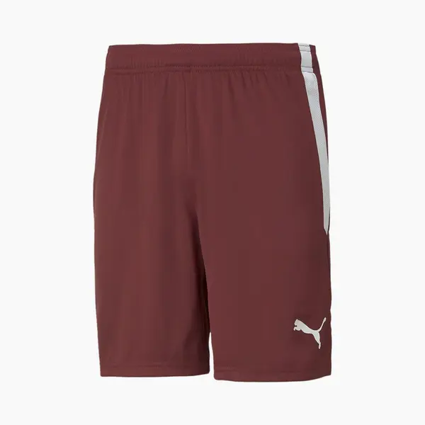 Korte Broek Puma Teamliga thumbnail