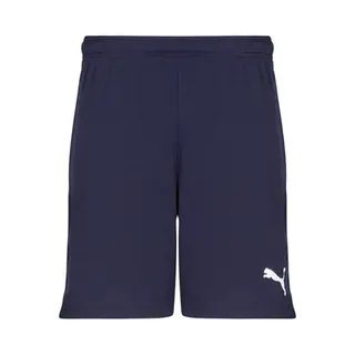 Puma Sportshorts TeamRise