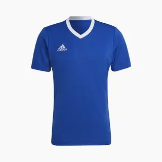 Adidas Performance Functioneel Shirt 'Entrada 22' Royal Blue/koningsblauw / Wit