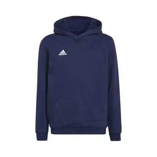 Adidas Performance Entrada 22 Sweat Hoodie - Kinderen - Blauw