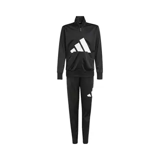 Adidas Unisex Kids Essentials Big Logo Climacool Tracksuit, Black/white, 11-12 Years
