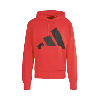 Hooded Sweatshirt Adidas Essentials Big Logo