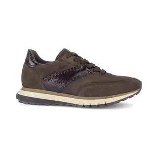 Gabor Baskets Pour Femme 6029.02, Moka, 39 Eu