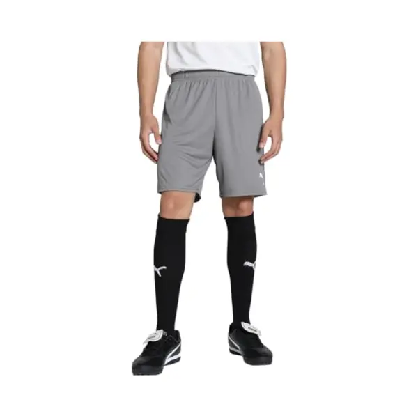 Puma Fußballshorts TeamGOAL - Grau/Weiß, Größe 3XL thumbnail