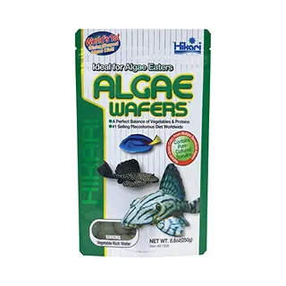 Hikari Algae Wafers 250 Gram