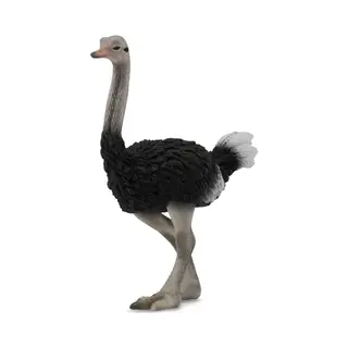 Collecta Struisvogel - (L).