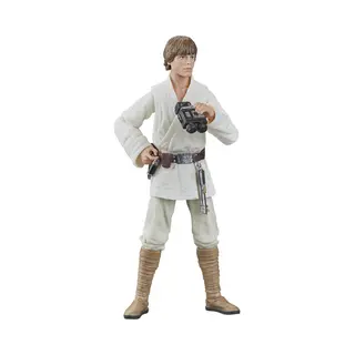 Hasbro Star Wars The Black Series Luke Skywalker