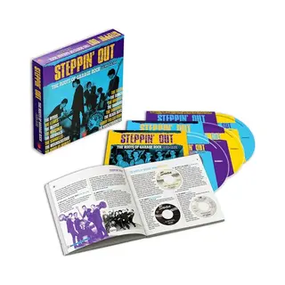 Cherry Red Steppin' Out-the Roots Of Garage Rock 1963-1965