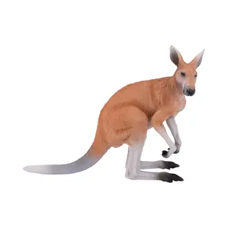 Mojo Fun Kangaroo