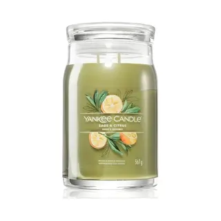 Yankee Candle Sage & Citrus kaars Cylinder Groen 1 stuk(s)