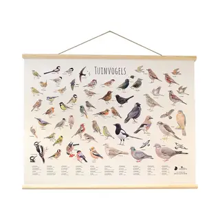 Tuinvogelposter Elwin Van Der Kolk | Vogelbescherming Nederland