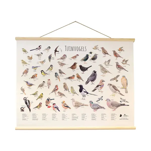 Tuinvogelposter Elwin Van Der Kolk | Vogelbescherming Nederland thumbnail