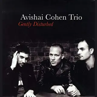 Pias Nederland Avishai Cohen - Gently Disturbed (Lp)