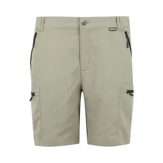 Regatta Shorts Hiking Heren Model Leeslle