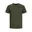 Olive Night