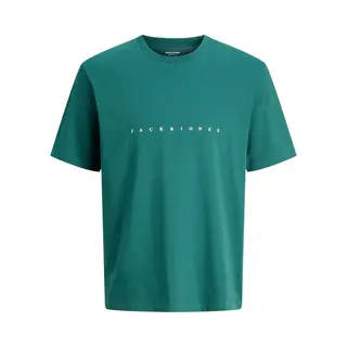 Jack & Jones Shirt 'JJEStar' Smaragd / Wit