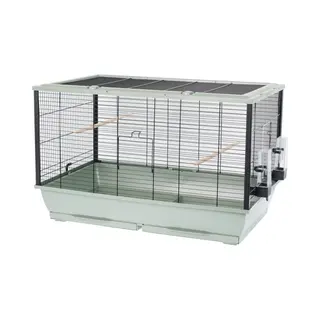 Vogelkooi Fiona Mini – Zwart/Chroom Binnenkooi Voor Parkieten, Agaporniden En Valkparkieten