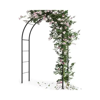 vilde Tuinboog Metaal 145x235 Cm - Rozenboog - Plantenboog - Bloemboog - Plantensteun