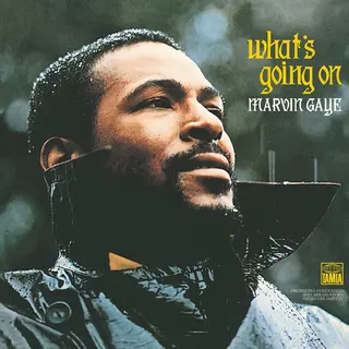 Motown Marvin Gaye - What's Going On Lp