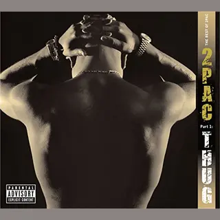 Universal Music Nederland 2Pac - The Best Of 2Pac - Part 1, Thug (2 Lp)