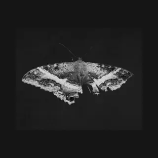 Universal Music Group To Pimp A Butterfly (Ltd.10th Anni. 2LP) [Vinyl Lp]