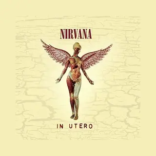 Universal Music Nederland Nirvana - In Utero (Cd) (20th Anniversary Edition)