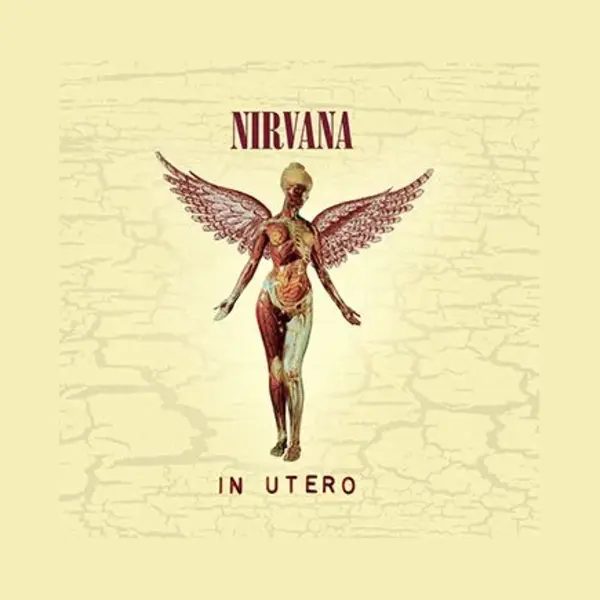 Universal Music Nederland Nirvana - In Utero (Cd) (20th Anniversary Edition) thumbnail