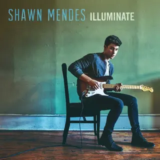 Virgin Illuminate [Vinyl]