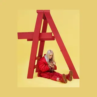 Billie Eilish Cd - Don't Smile At Me - Voor Geen - Standaard