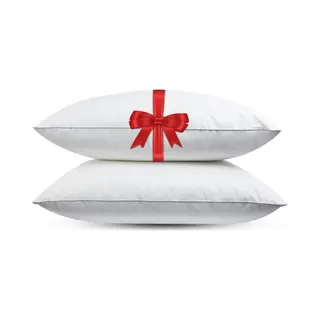 Fabiola Dormi - Medium Veren Hoofdkussen - Set Van 2 Stuks - DownPass Gecertificeerde Eendenveren - Ergonomisch - 60x70cm