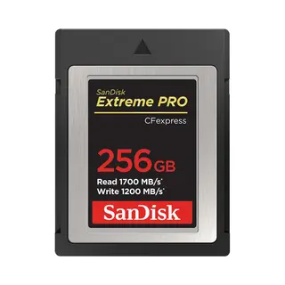 SanDisk Sdcfe-256G-GN4NN flashgeheugen 256 Gb CFexpress