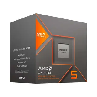 Amd Ryzen 5 8600G Prozessor 4,3 GHz 16 Mb L3 Box
