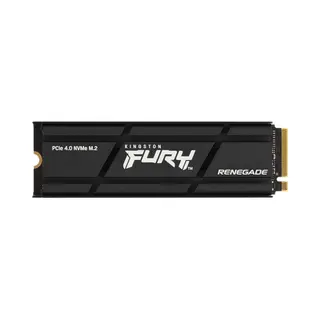 Kingston Technology 4000G Renegade PCIe 4.0 NVMe Ssd Met Heatsink