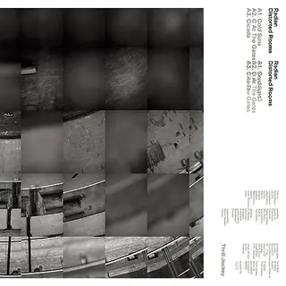 Thrill Jockey Records Distorted Rooms [Vinyl]