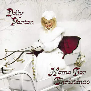 Bertus Distributie Home For Christmas