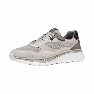 Geox Sneaker