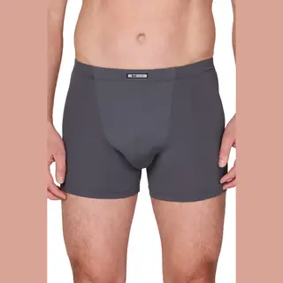 Set -Look Microfiber Boxershort Heren 1878 - Polyamide Heren Onderbroek - Ondergoed - L - Grijs