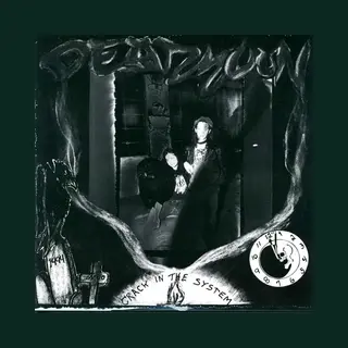 Secretly Canadian Cracks In The System [Vinyl]