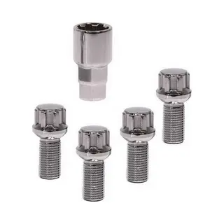 Carpoint Slotmoeren Set Conisch M14x15