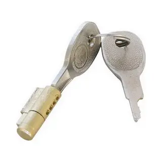Carpoint Steekslot Kogelkoppeling – Inclusief 2 Sleutels – Stevige Metalen Beveiliging – Voor Aanhanger & Caravan