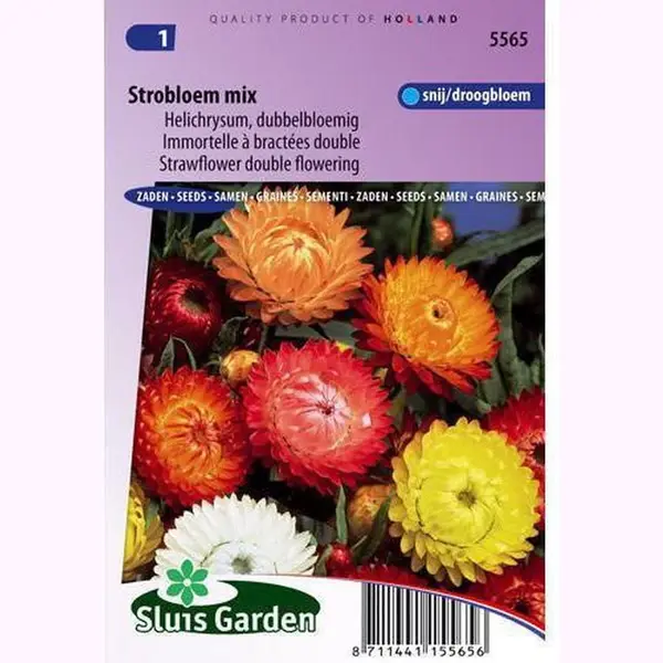 Sluis Garden Helichrysum Dubbelbloemig Bloemzaden - Strobloem Mix thumbnail