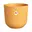 Amber Geel