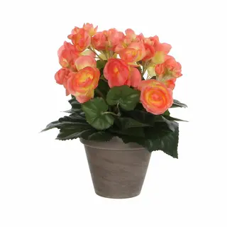 Mica Decorations Mica Decoration Kunstplant - Begonia - Zalmroze - In Pot - 25 Cm - Nepplanten