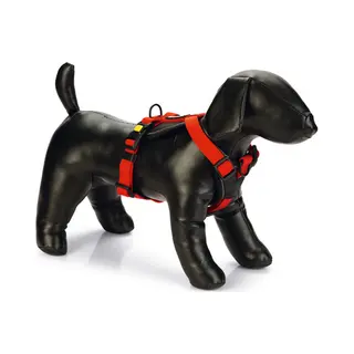 Beeztees Bz Prem Y-Gesch Parinca RT81-1 (Hond, Algemeen), Kraag + Leiband