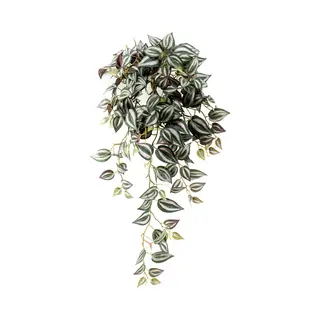 Tradescantia 40 Cm In Hanging Pot Kunstbloem Zijde Nepbloem Emerald