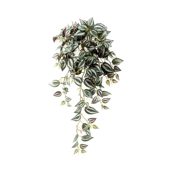 Tradescantia 40 Cm In Hanging Pot Kunstbloem Zijde Nepbloem Emerald thumbnail