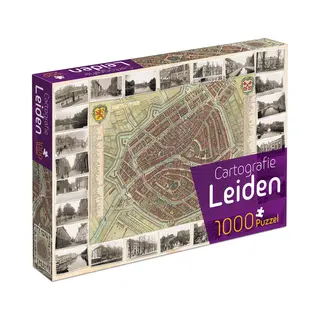 Cartografie Leiden (1000) - Tucker's Fun Factory Legpuzzel